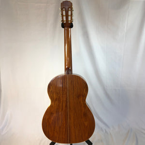 Giannini GN70 Brazilian Vintage Nylon Guitar