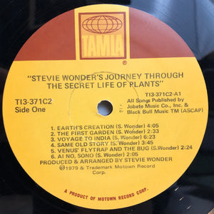 Stevie Wonder's Journey Through the Secret Life of Plants
