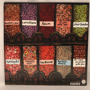 Palehound - A Place I'll Always Go