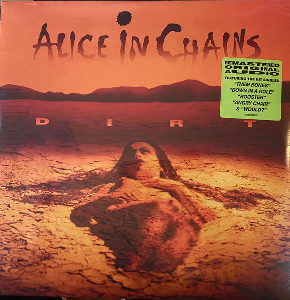 Alice In Chains - Dirt - Woodbury Music Shop