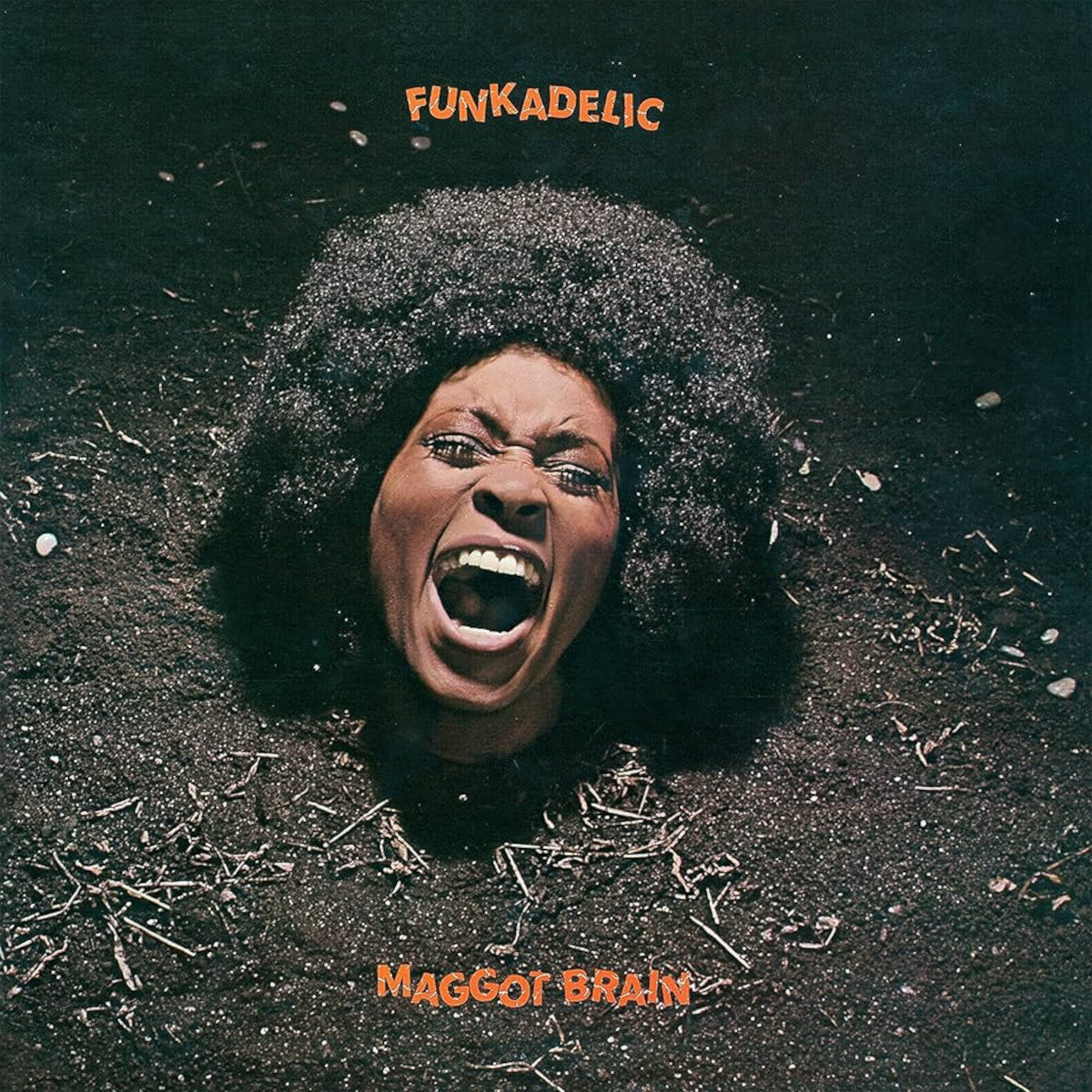 Funkadelic - Maggot Brain
