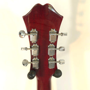 Epiphone Riviera