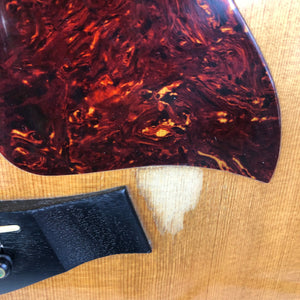 Taylor 314CE Acoustic/Electric Guitar