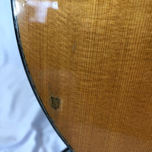 Taylor 314CE Acoustic/Electric Guitar