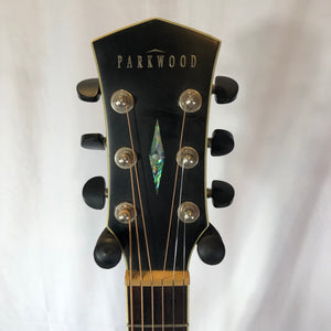 Parkwood PW320M Acoustic/Electric Guitar