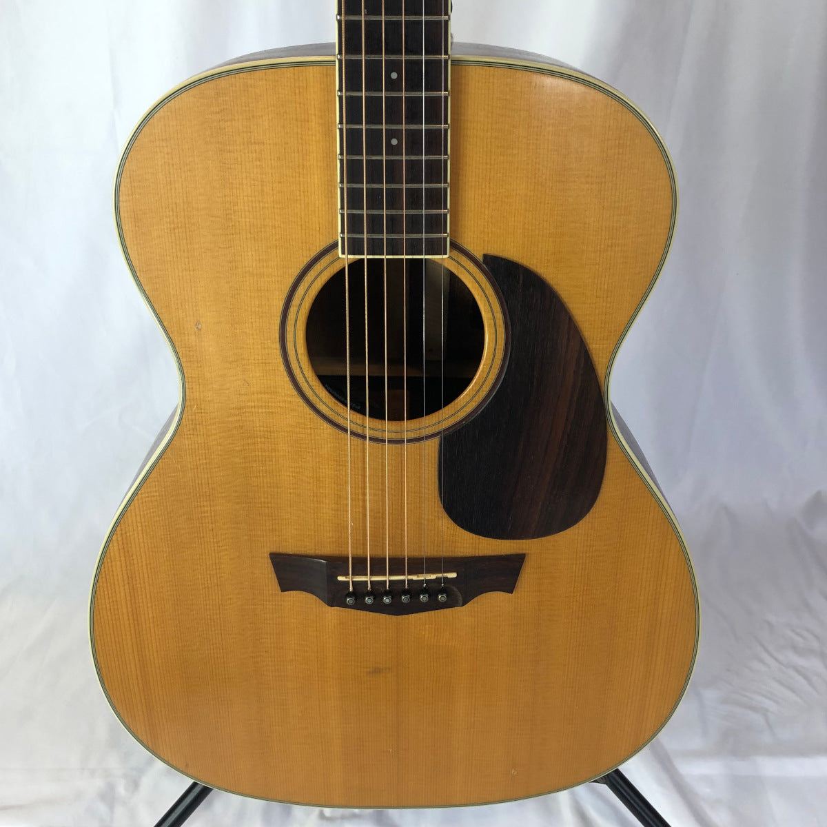 Parkwood PW320M Acoustic/Electric Guitar