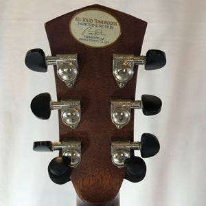 Parkwood PW320M Acoustic/Electric Guitar