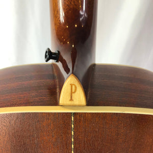 Parkwood PW320M Acoustic/Electric Guitar