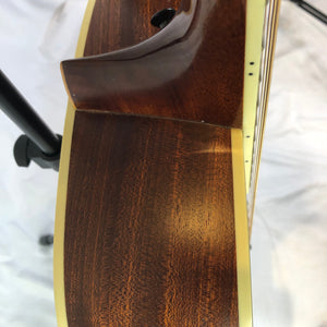 Parkwood PW320M Acoustic/Electric Guitar