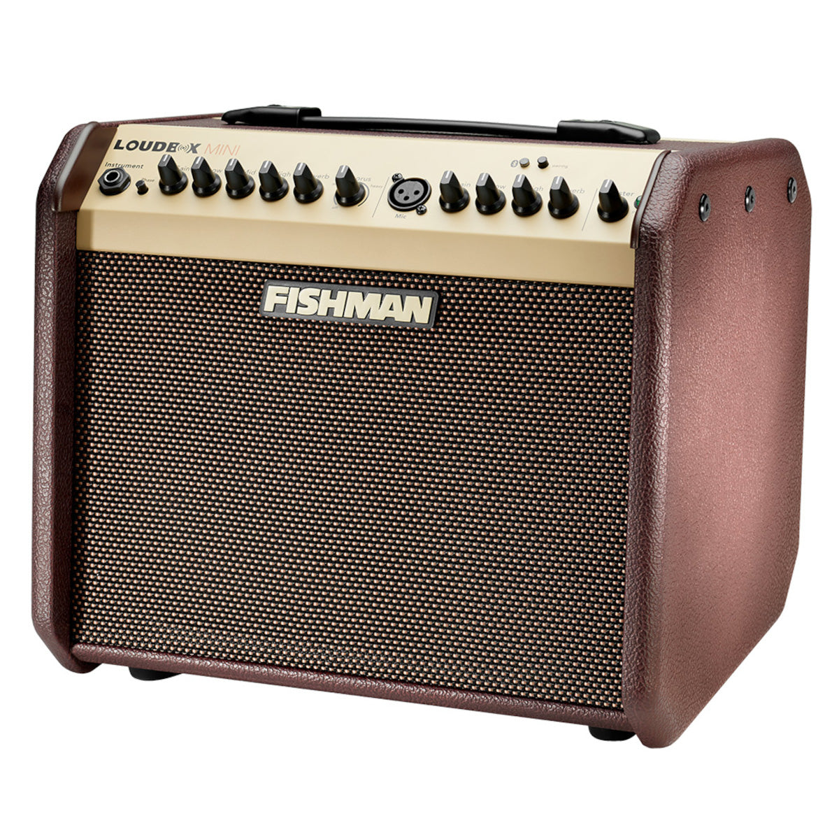 Fishman LBT-500 Loudbox Mini BT