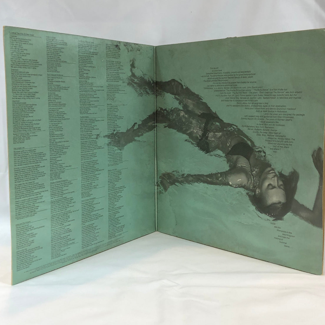 Joni Mitchell - The Hissing Of Summer Lawns - Woodbury Music Shop