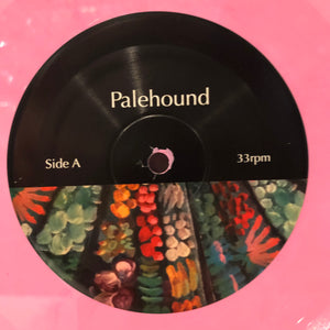 Palehound - A Place I'll Always Go